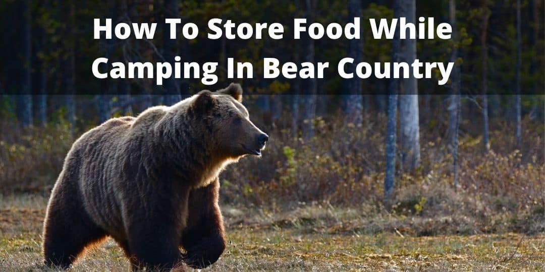 How to store food when camping in bear country the adventurous camper